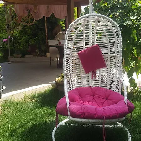 Kekik Alacati Mayko Çeşme