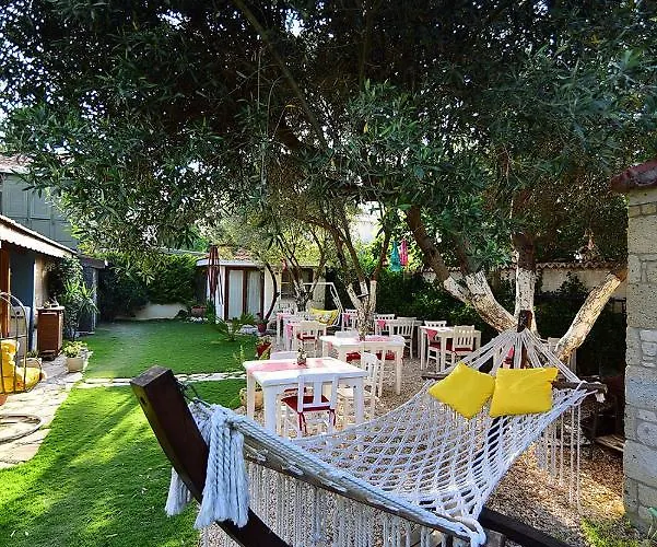 Kekik Alacati Mayko 2*