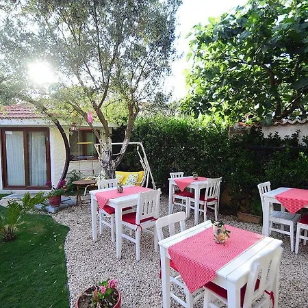 Kekik Alacati Mayko Cesme