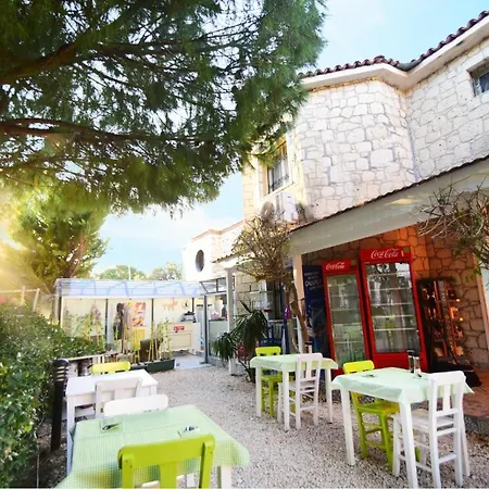 Kekik Alacati Mayko 2*