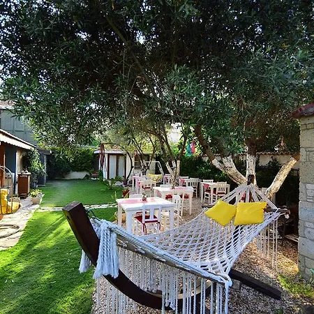 Kekik Alacati Mayko 2*